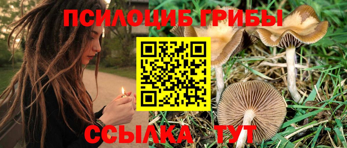 Галлюциногенные грибы прущие грибы Ржев